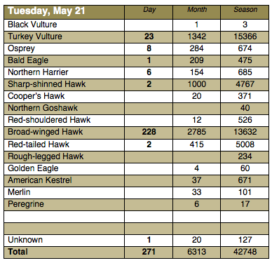 Screen Shot 2013-05-21 at 9.49.04 PM