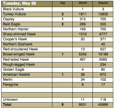 Screen Shot 2013-05-28 at 8.05.46 PM