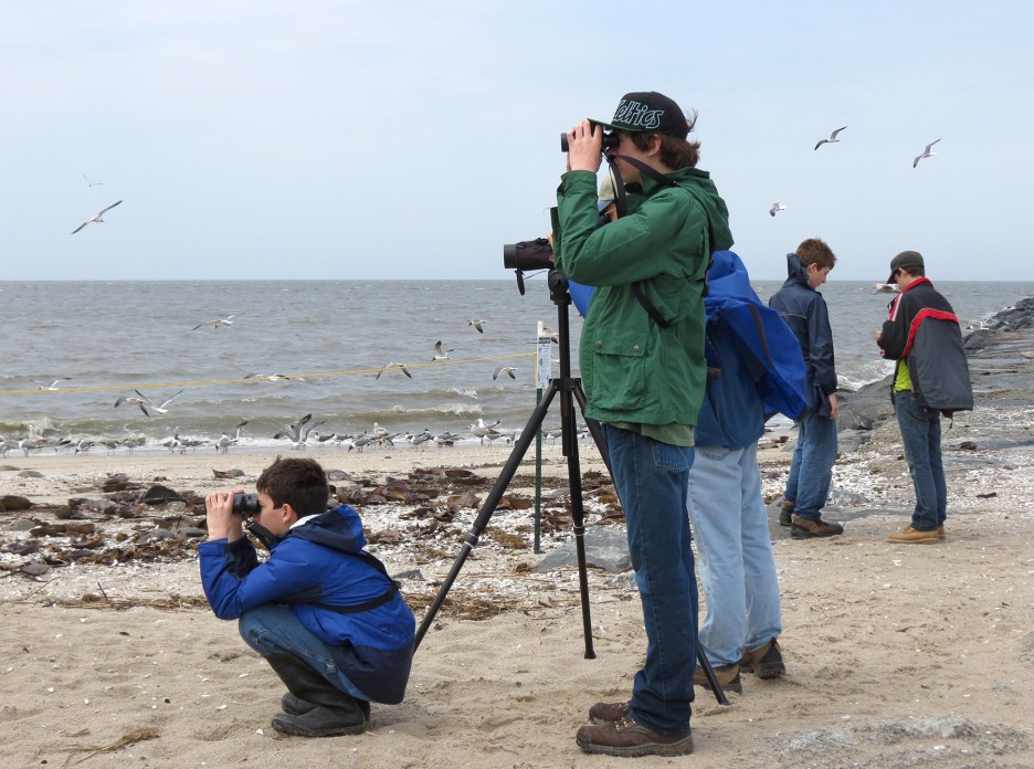 Photo by Carena Pooth