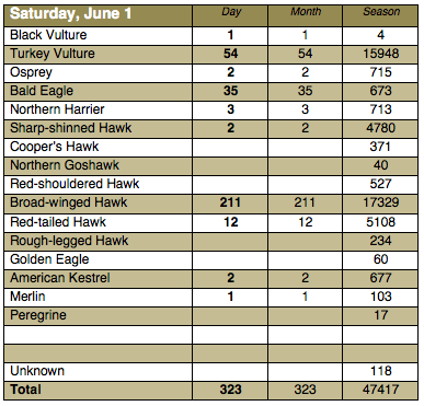 Screen Shot 2013-06-01 at 9.35.06 PM