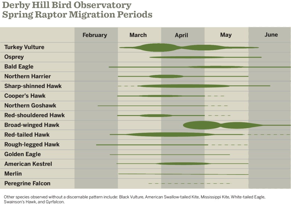 Migration Graphic web