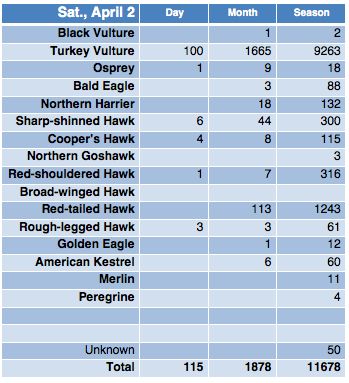 Screen Shot 2016-04-02 at 9.07.59 PM