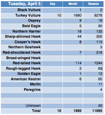 Screen Shot 2016-04-05 at 9.22.41 PM