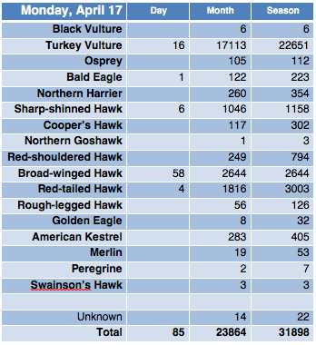 Screen Shot 2017-04-17 at 9.06.10 PM