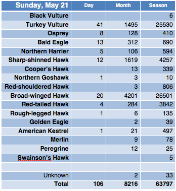 Screen Shot 2017-05-21 at 11.23.27 PM