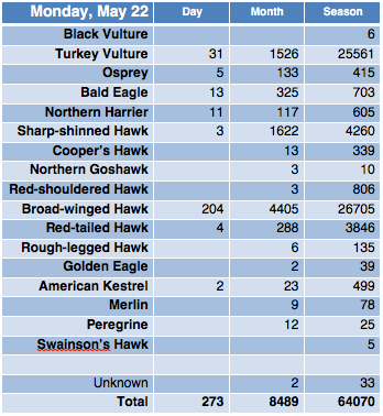 Screen Shot 2017-05-22 at 6.45.49 PM