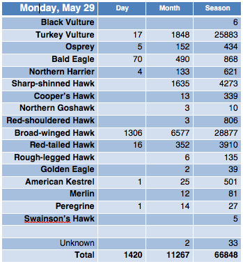 Screen Shot 2017-05-30 at 6.22.29 AM