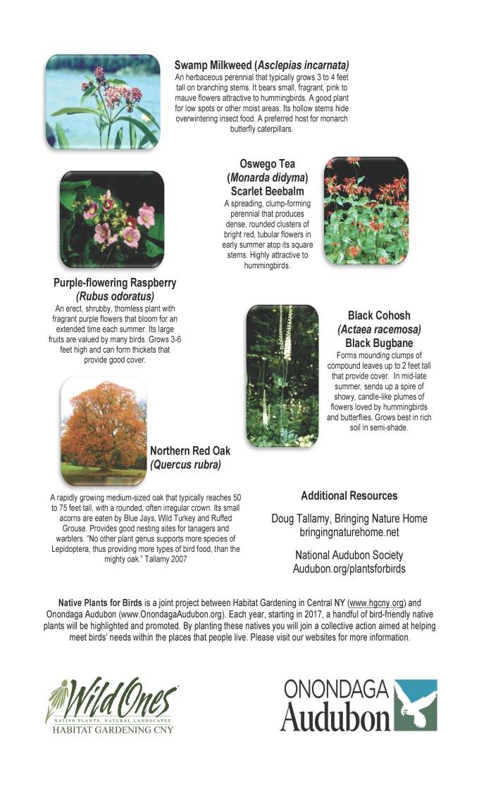 native-plants-for-birds-2017-ho-page-2