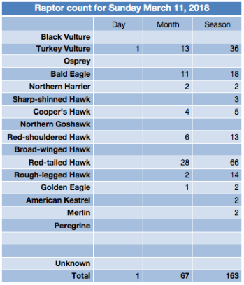 Screen Shot 2018-03-11 at 6.43.17 PM