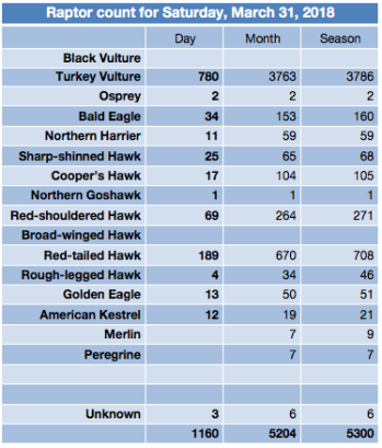 Screen Shot 2018-04-01 at 7.35.42 PM