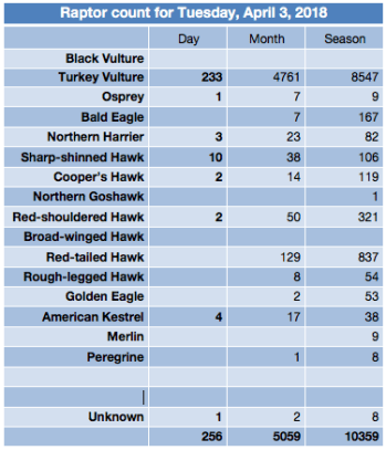 Screen Shot 2018-04-03 at 4.13.13 PM