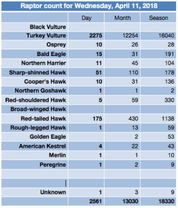 Screen Shot 2018-04-11 at 7.00.05 PM