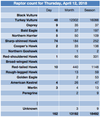 Screen Shot 2018-04-12 at 5.01.43 PM