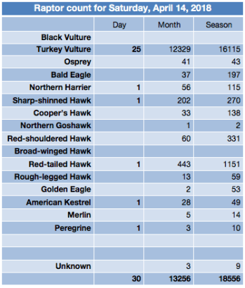 Screen Shot 2018-04-14 at 9.06.06 PM