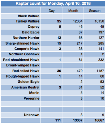 Screen Shot 2018-04-16 at 6.14.19 PM