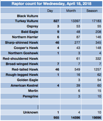 Screen Shot 2018-04-18 at 7.34.44 PM