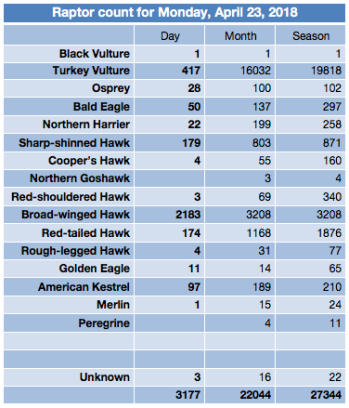 Screen Shot 2018-04-23 at 9.42.56 PM