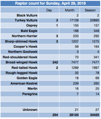 Screen Shot 2018-04-29 at 5.31.34 PM