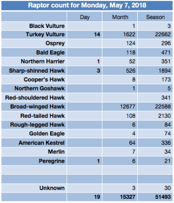 Screen Shot 2018-05-07 at 8.04.35 PM