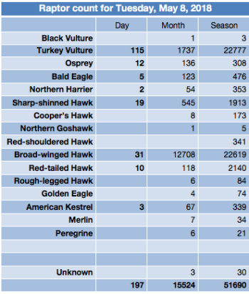 Screen Shot 2018-05-08 at 7.34.52 PM