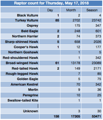 Screen Shot 2018-05-17 at 8.27.55 PM