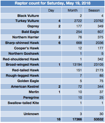 Screen Shot 2018-05-20 at 8.04.44 AM