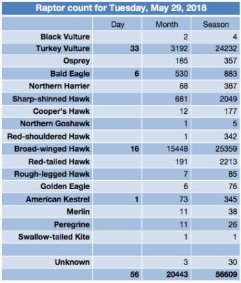 Screen Shot 2018-05-29 at 5.50.30 PM