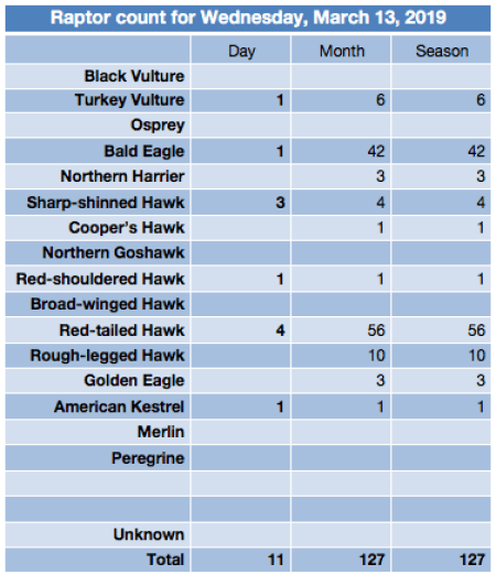 Screen Shot 2019-03-13 at 5.29.41 PM