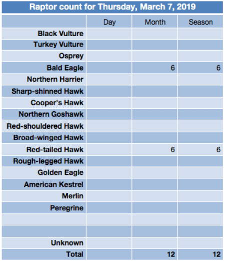 Screen Shot 2019-03-15 at 5.03.22 PM