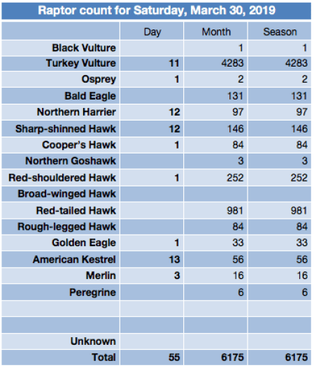 Screen Shot 2019-03-30 at 7.41.27 PM