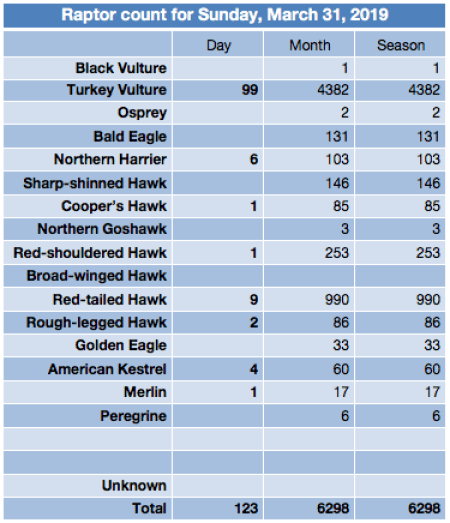 Screen Shot 2019-03-31 at 8.55.01 PM