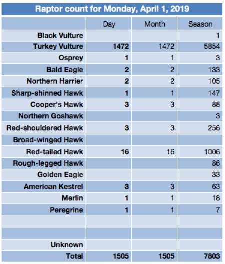 Screen Shot 2019-04-01 at 11.29.38 PM