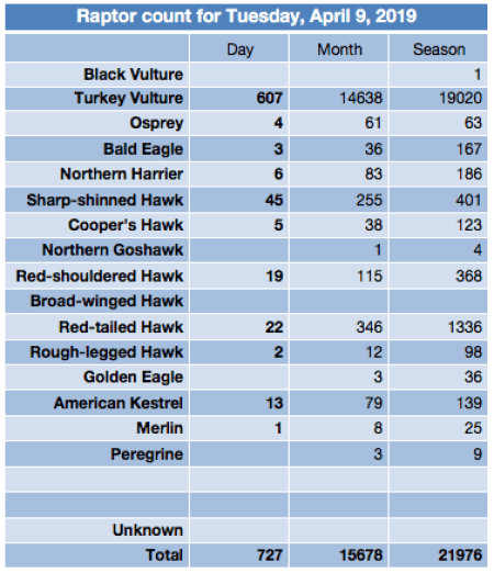 Screen Shot 2019-04-09 at 9.38.07 PM