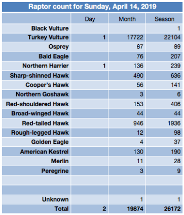 Screen Shot 2019-04-14 at 9.42.58 PM