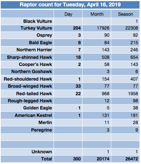 Screen Shot 2019-04-16 at 9.19.44 PM