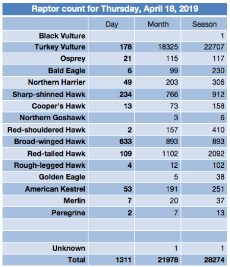 Screen Shot 2019-04-19 at 6.20.51 AM