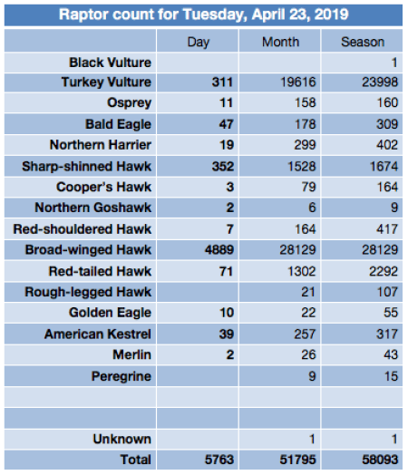 Screen Shot 2019-04-23 at 7.02.57 PM