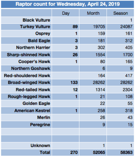 Screen Shot 2019-04-25 at 5.46.25 AM