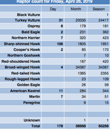 Screen Shot 2019-04-26 at 10.52.53 PM