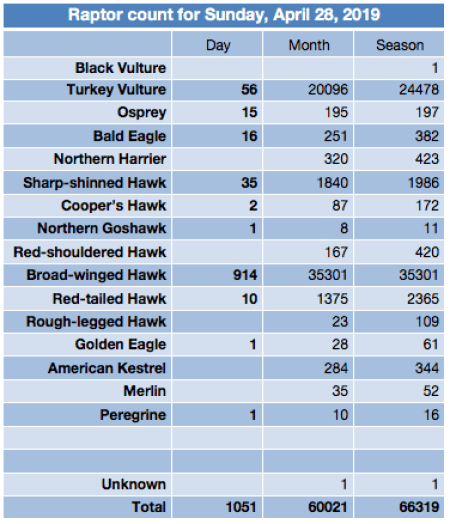 Screen Shot 2019-04-28 at 9.59.56 PM