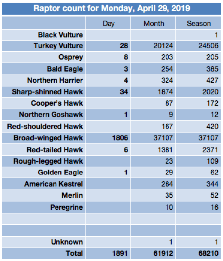 Screen Shot 2019-04-29 at 9.54.05 PM