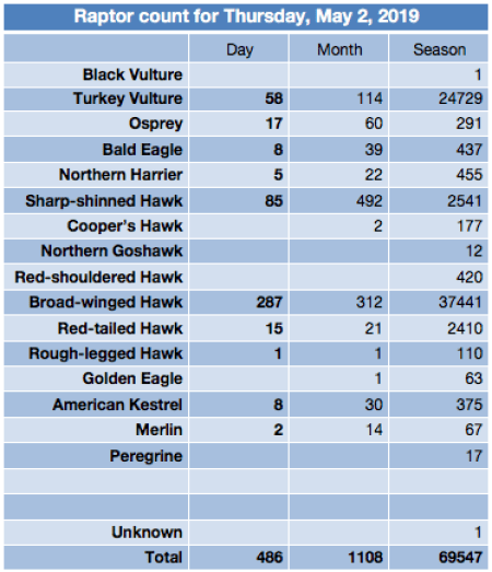 Screen Shot 2019-05-02 at 10.02.01 PM