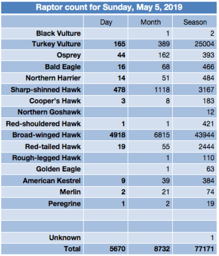 Screen Shot 2019-05-05 at 8.52.03 PM