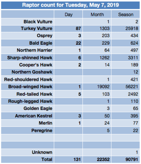 Screen Shot 2019-05-07 at 9.13.00 PM