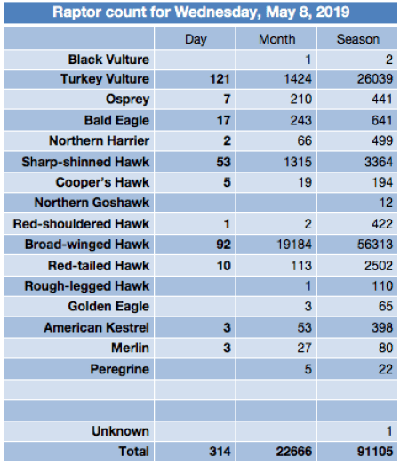 Screen Shot 2019-05-09 at 5.54.27 AM