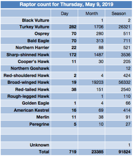 Screen Shot 2019-05-09 at 9.18.54 PM