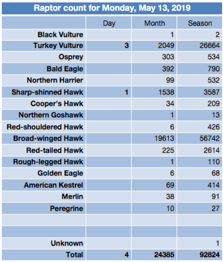 Screen Shot 2019-05-15 at 7.14.46 PM