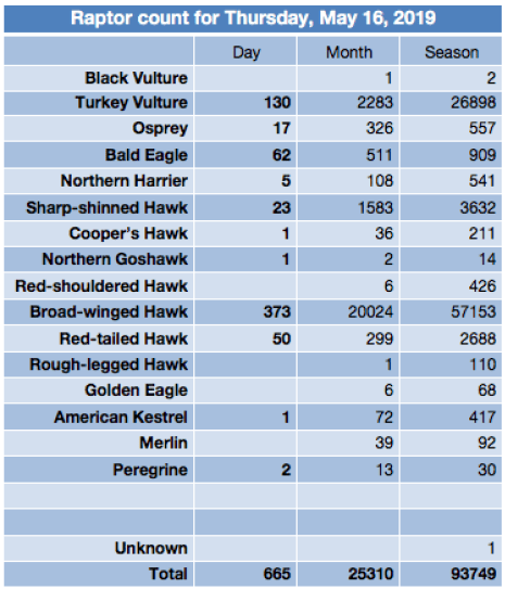 Screen Shot 2019-05-16 at 9.26.49 PM