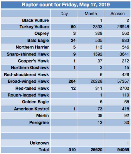 Screen Shot 2019-05-17 at 9.56.22 PM