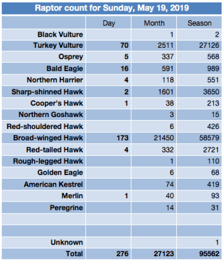 Screen Shot 2019-05-19 at 9.28.20 PM